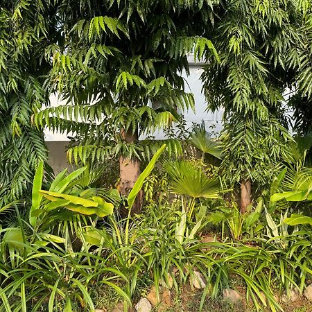 The Bougainvillea Cottage Farmstay Near Dehradun , 2 Bedroom Private Cottage Next To Fields And Orchards With Hill Views Dış mekan fotoğraf
