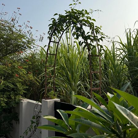 The Bougainvillea Cottage Farmstay Near Dehradun , 2 Bedroom Private Cottage Next To Fields And Orchards With Hill Views Dış mekan fotoğraf
