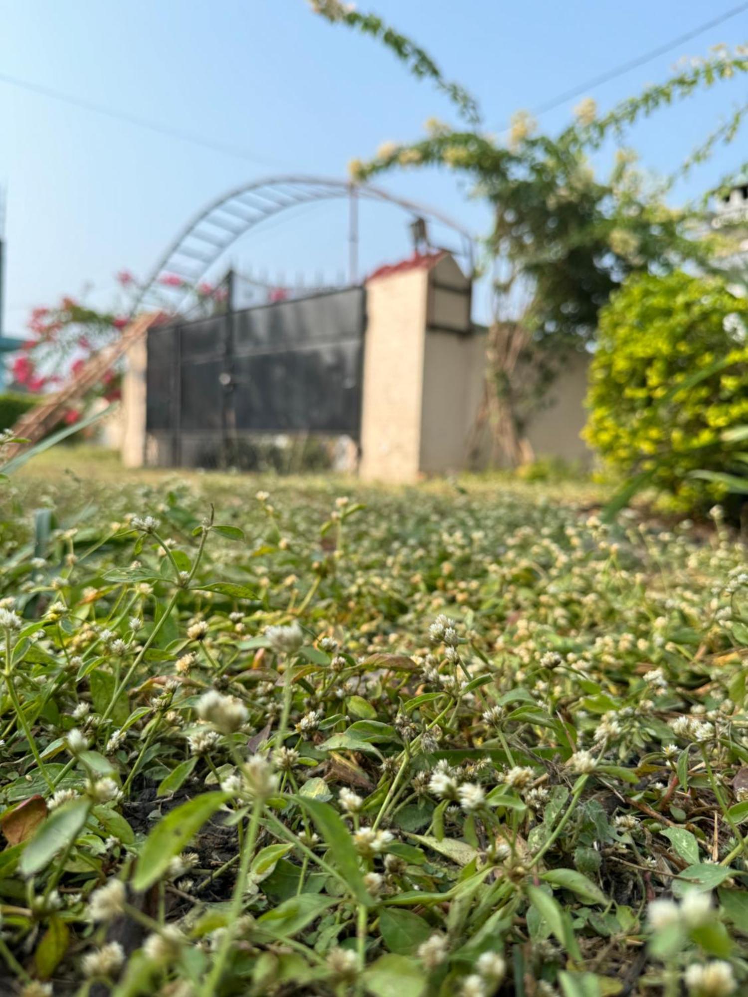 The Bougainvillea Cottage Farmstay Near Dehradun , 2 Bedroom Private Cottage Next To Fields And Orchards With Hill Views Dış mekan fotoğraf